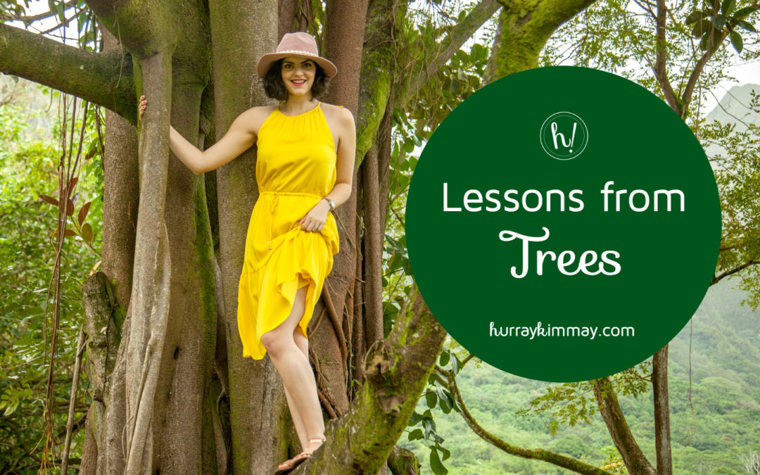 Lessons from Trees