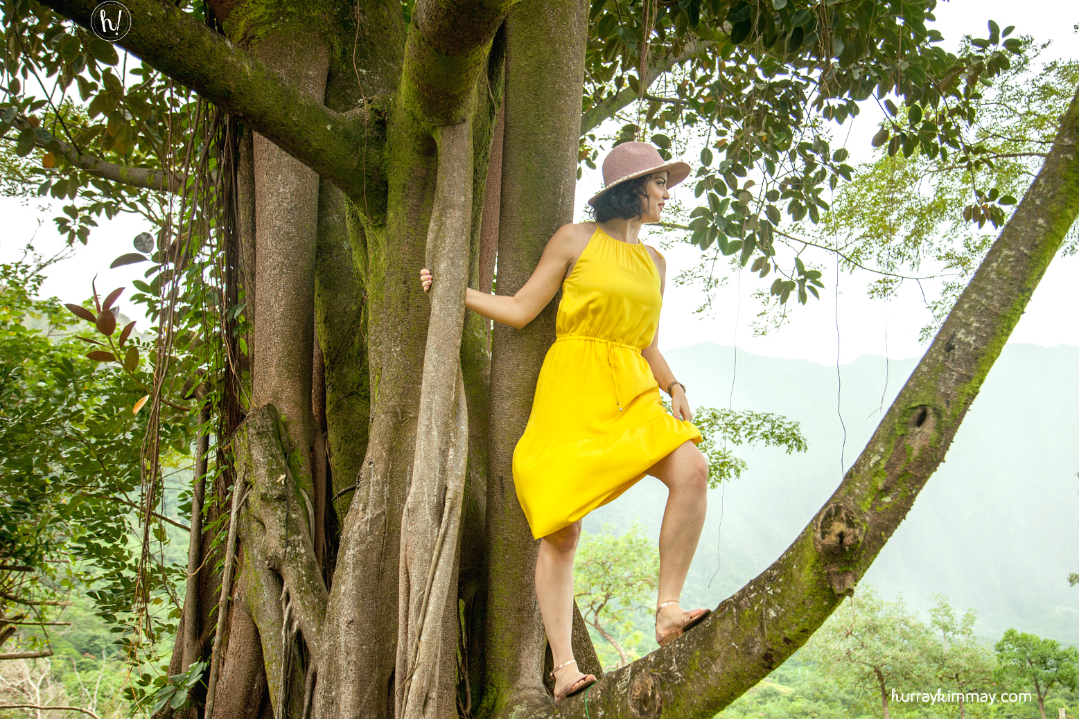 Go out on a limb! Kimmay explains how she learns lessons from trees in this Hurray Kimmay blog