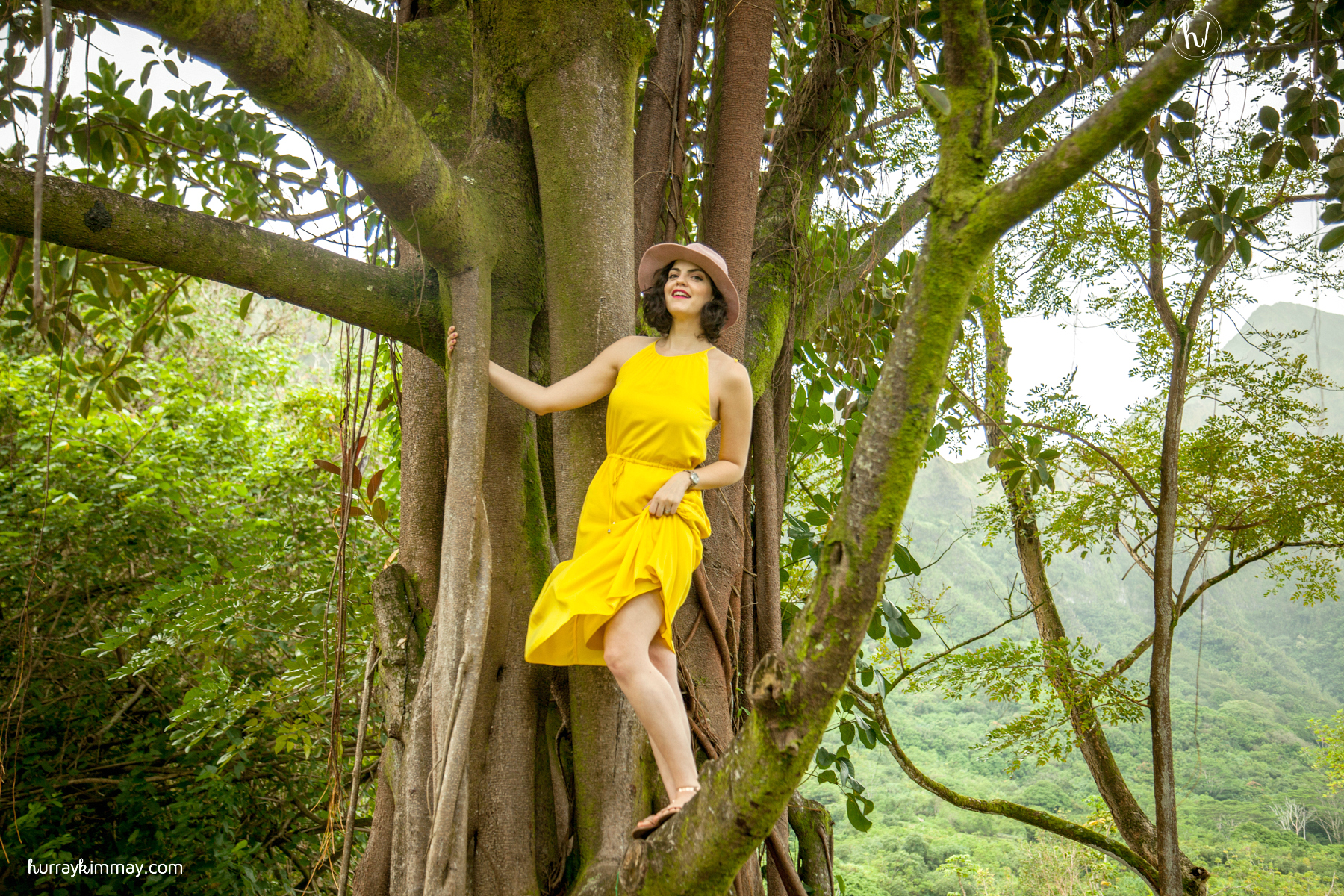 Find your courage to take a risk and learn more lessons from trees in Kimmay's new blog