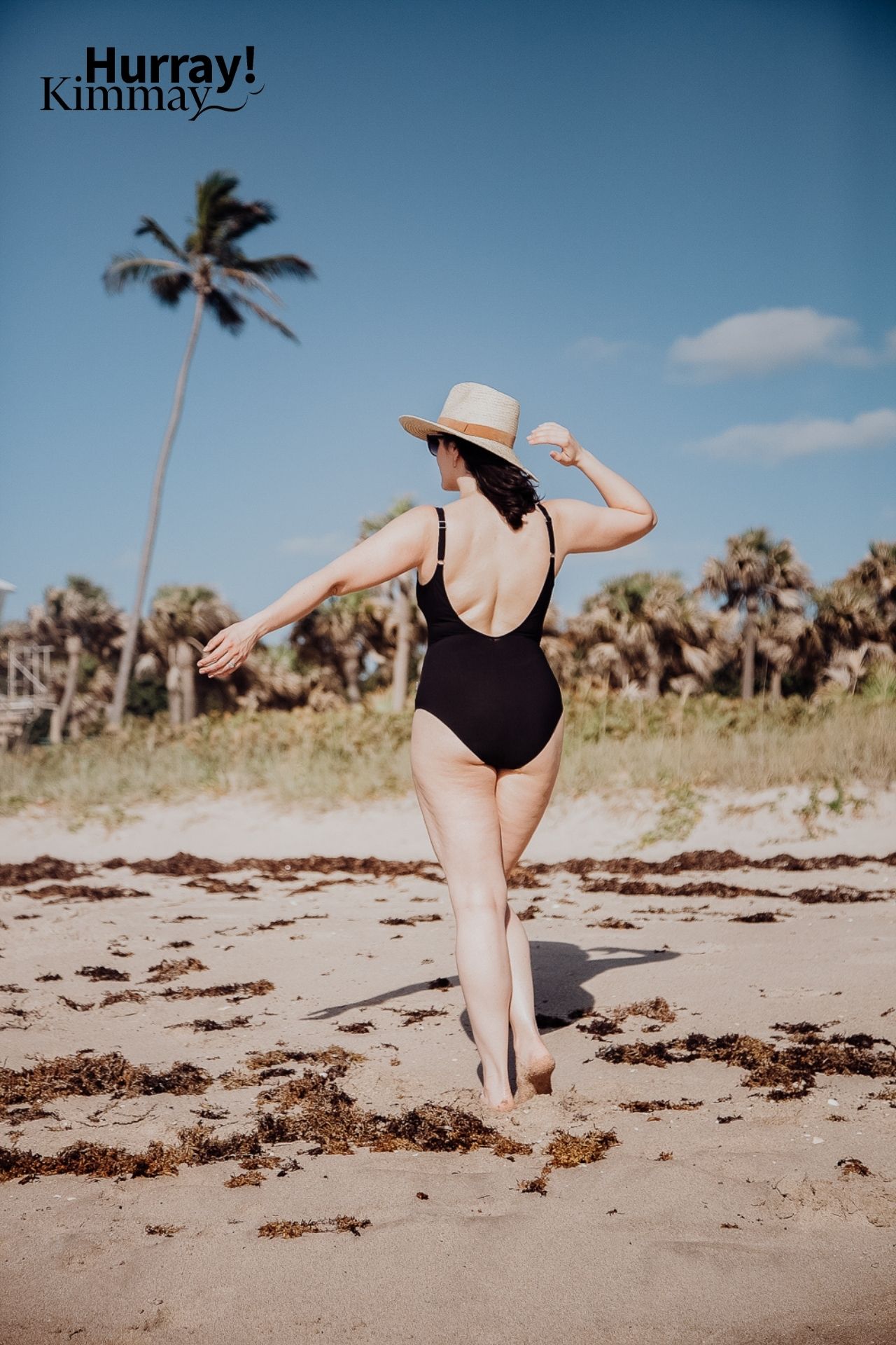 Women's Mesh Front One Piece Swimsuit - Shade & Shore™ Black L  Plunging  one piece swimsuit, One piece swimsuit, Women swimsuits