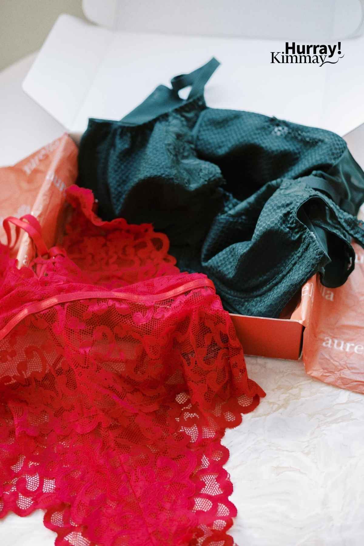 The Lingerie Box – Review of a lingerie subscription box