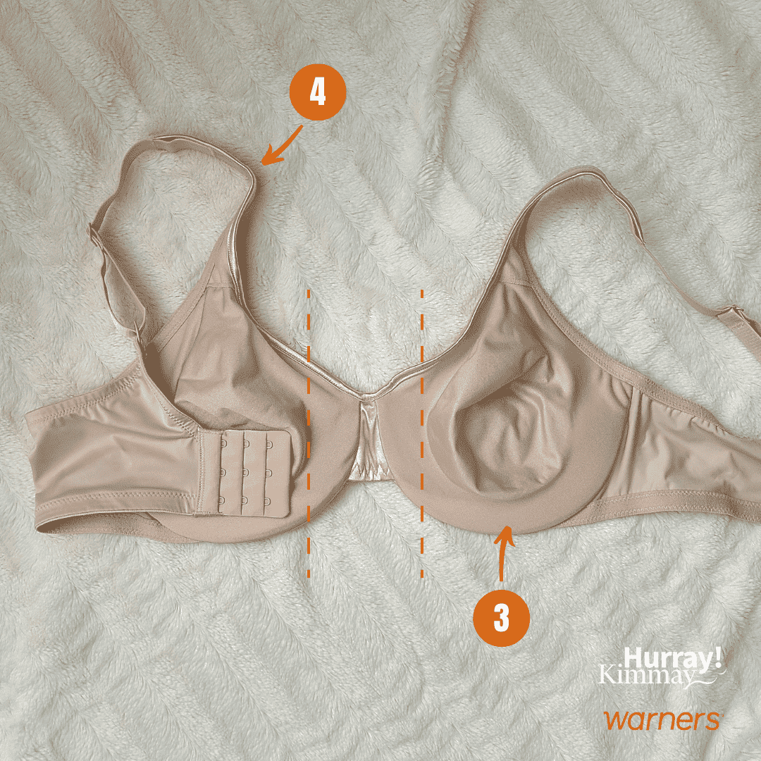 Bra Anatomy – Know the Parts to Know What's Best for You 